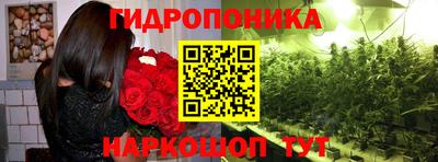 ECSTASY Заводоуковск